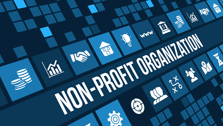 Non Profit Major Donor Prospect Research